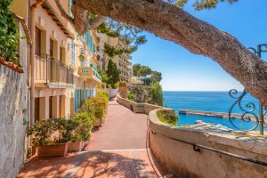 Stroll through Monaco's luxurious streets