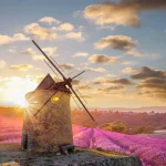 Windmill with levander field against colorful sunset in Provence, France