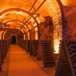 Rows of dusty champagne bottles in Reims cellar, France