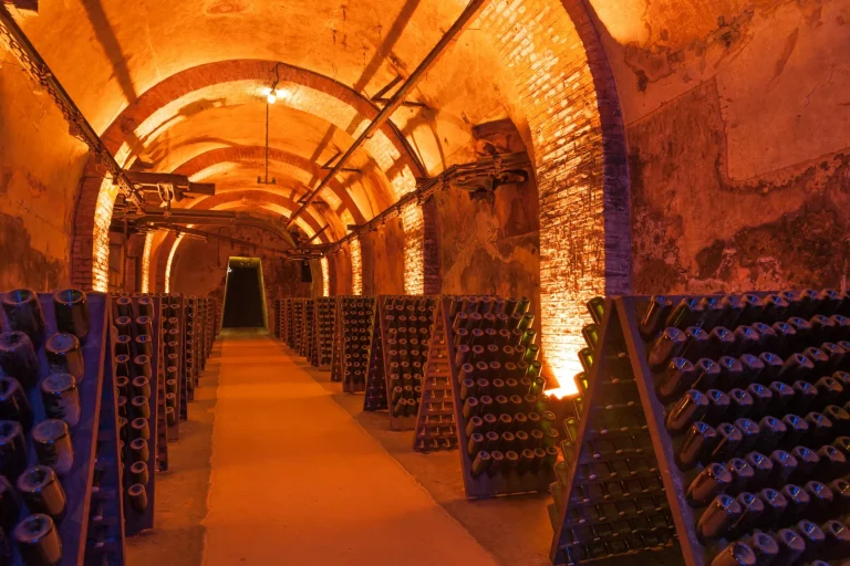 Rows of dusty champagne bottles in Reims cellar, France